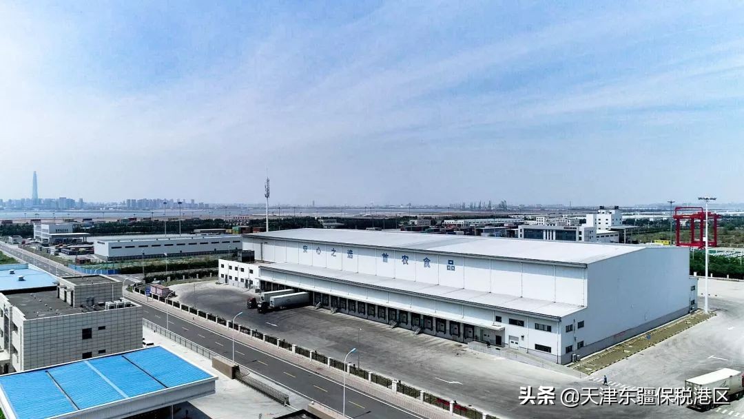 进博会逛展食品,进博会四叶草高清图