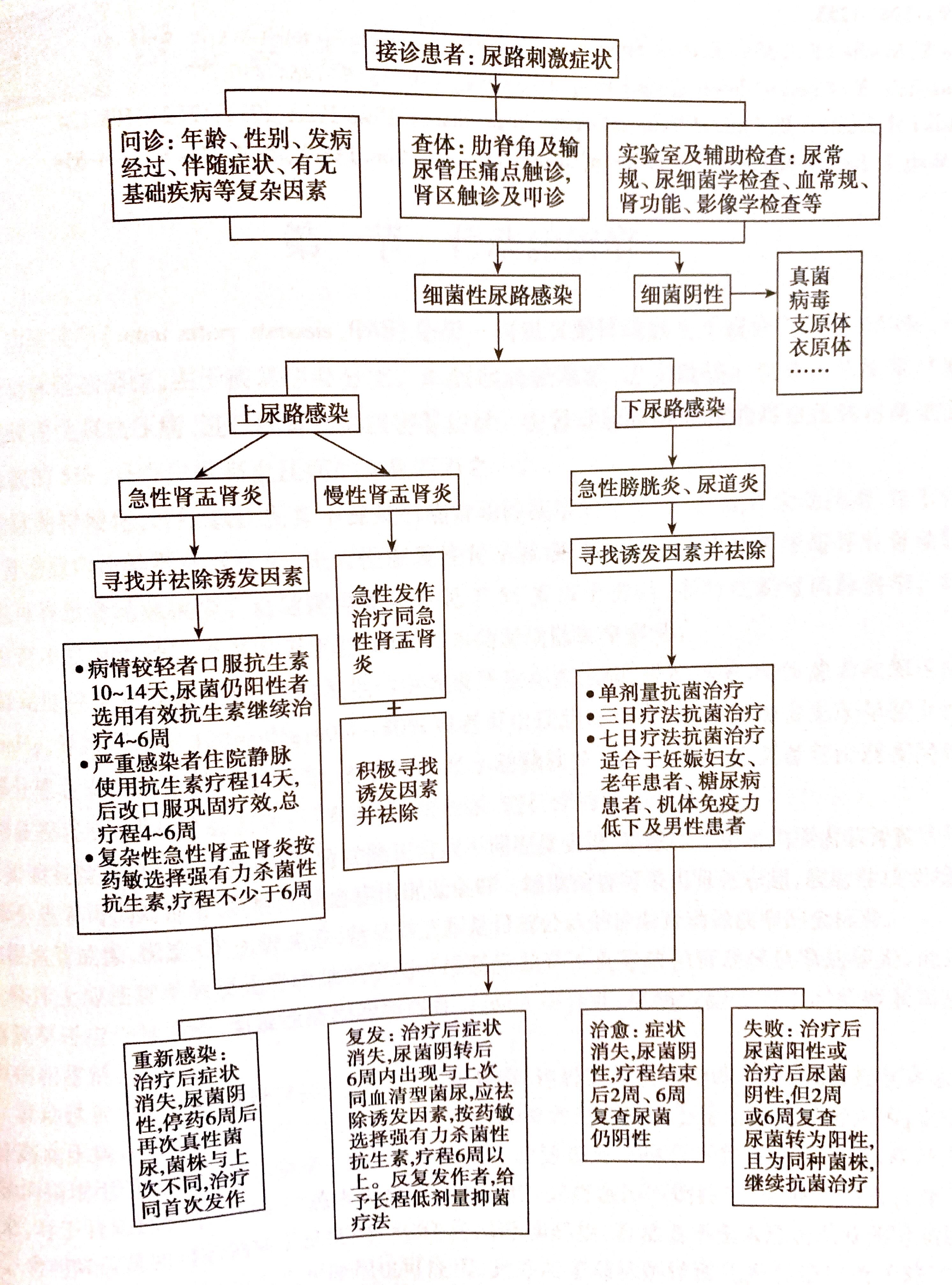 尿频尿急有豆腐渣怎么办,骶管囊肿尿急尿频