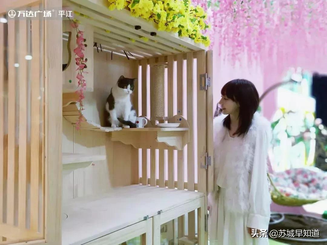 苏州平江路万达广场,苏州万达广场平江店