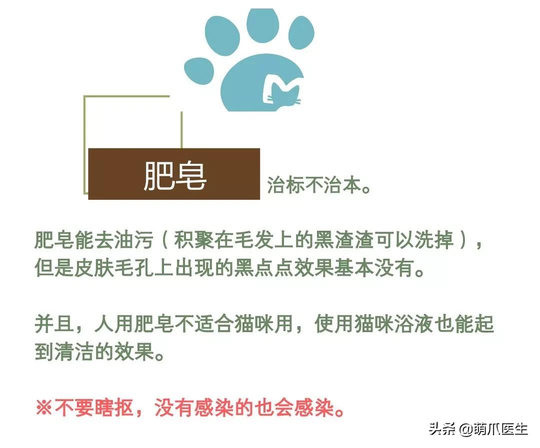 猫咪黑下巴毛囊炎的终极解决办法,猫咪有毛囊炎胡须还能长出来吗
