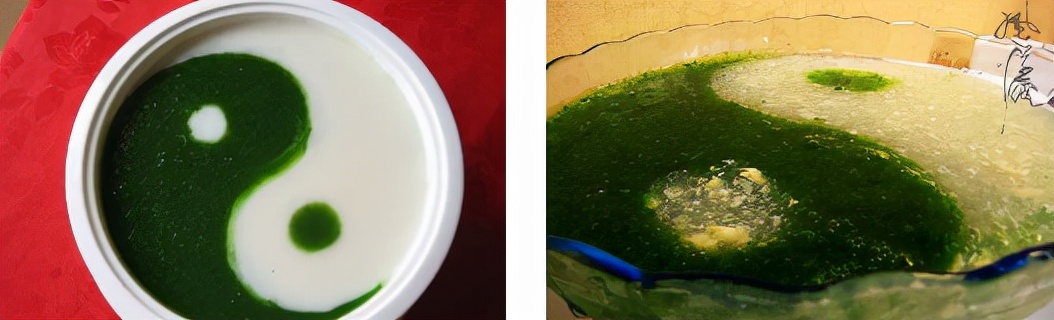 打卡好评榜⑤丨超解馋!没人能拒绝的金华美食,你能忍住口水算我输!