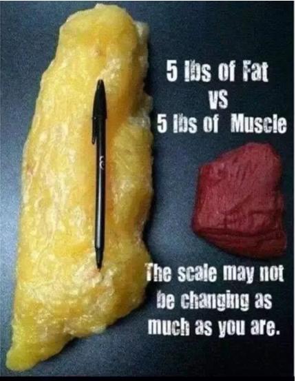 你和男朋友谁的腿细？腿粗不可怕，就怕有文化