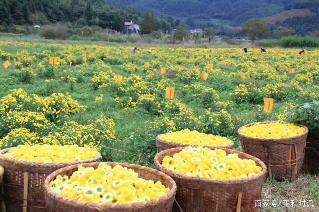 鎵嬪伐閲戜笣鐨囪強鍒朵綔,鑿婅姳鎵嬪伐閲戜笣鐨囪強