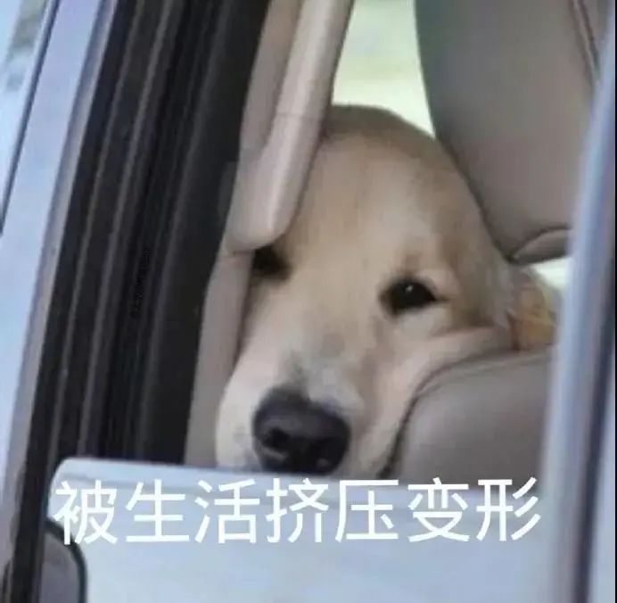 你还要我怎样表情包,表情包比你本人还要好看