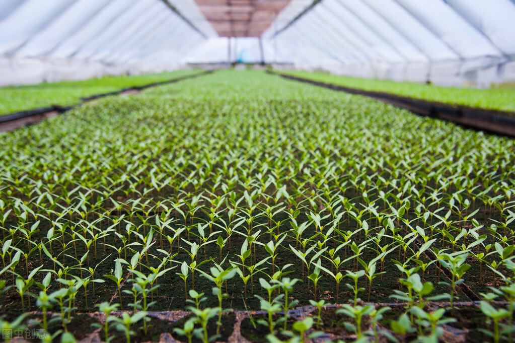 揭阳最新扶持项目,揭阳2021年行业商机