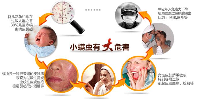 螨虫背后的秘密你知道多少,最常见的四种螨虫