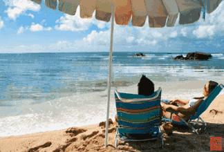 广州夏天带娃避暑最佳旅游地,广州避暑适合小孩景点推荐