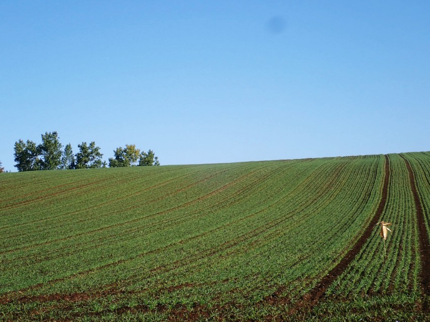 北海道登别到美瑛町需多久,日本北海道美瑛川的雪景