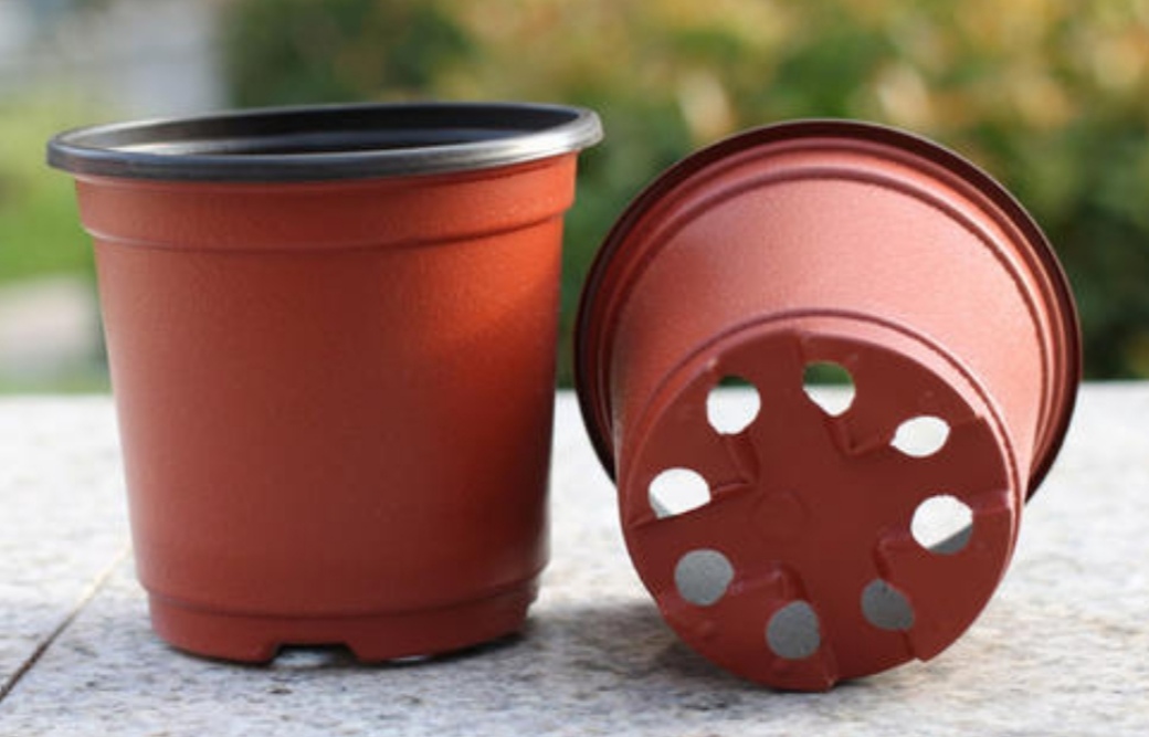 养花积水垫什么,养花排水层用什么最好