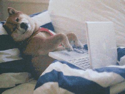 程序员在北京工作生活的感受,一名月薪12000的程序员的真实生活