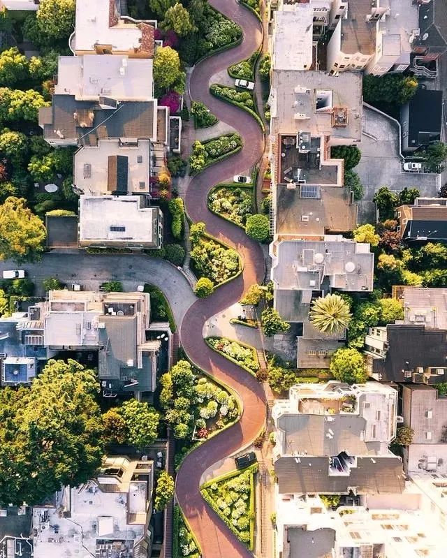 一条景观步道,一条景观路设计图片