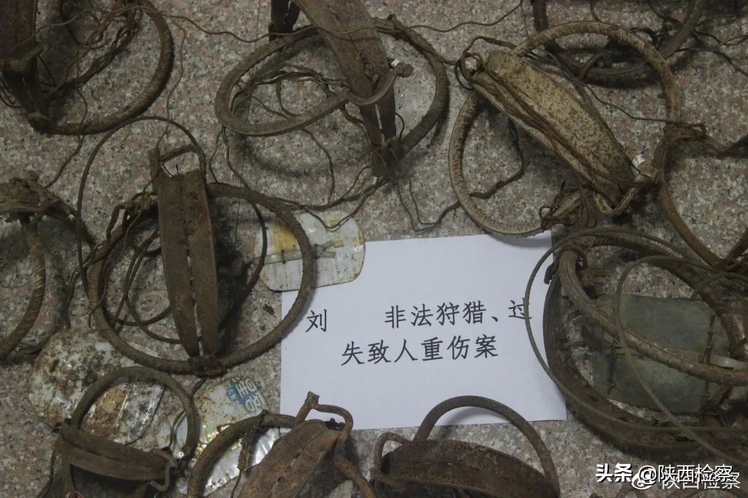 野生动物保护公益诉讼检察建议,多部门推动野生动物公益司法保护