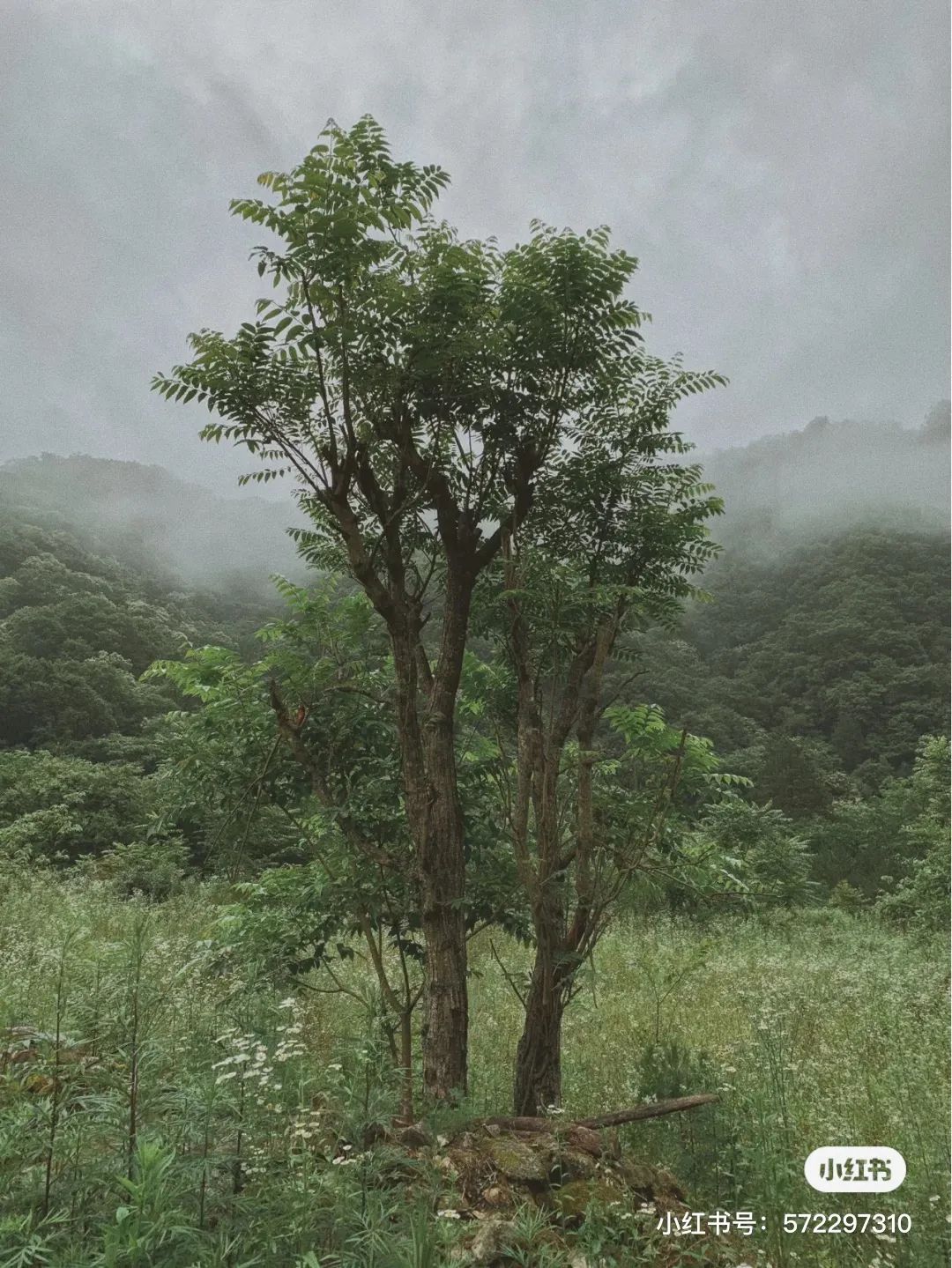 一起爬山吗?西安这些山不仅野,还不要钱~