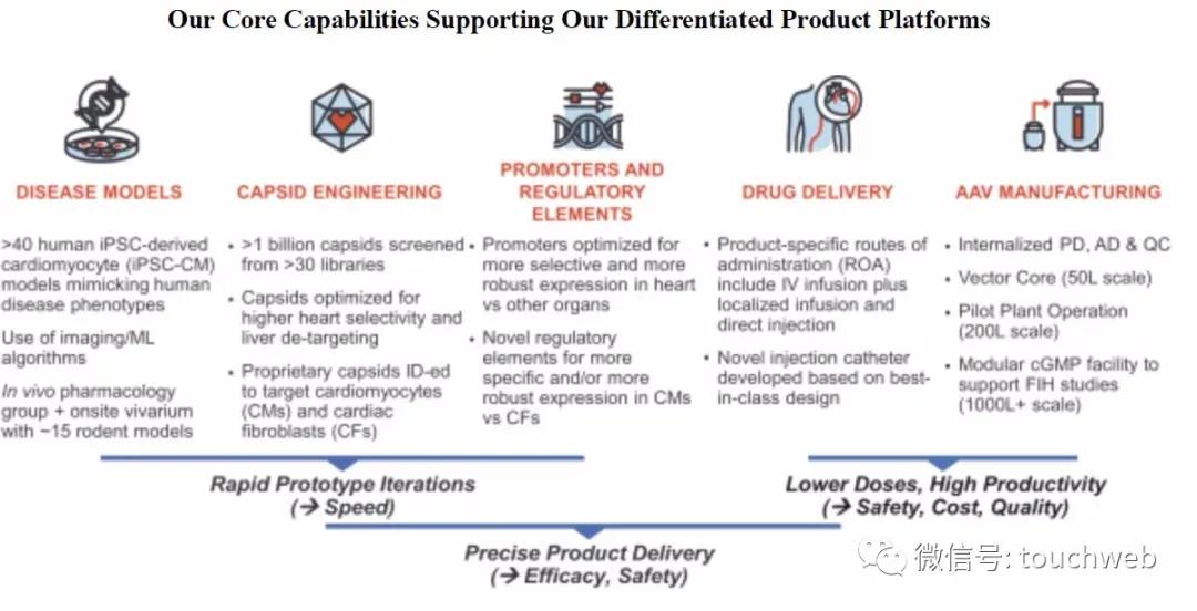 基因疗法相关上市公司,tenaris公司