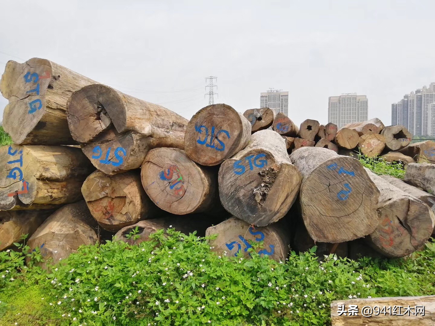 仙游大红酸枝红木原材价格,红木原材价格行情缅甸花梨