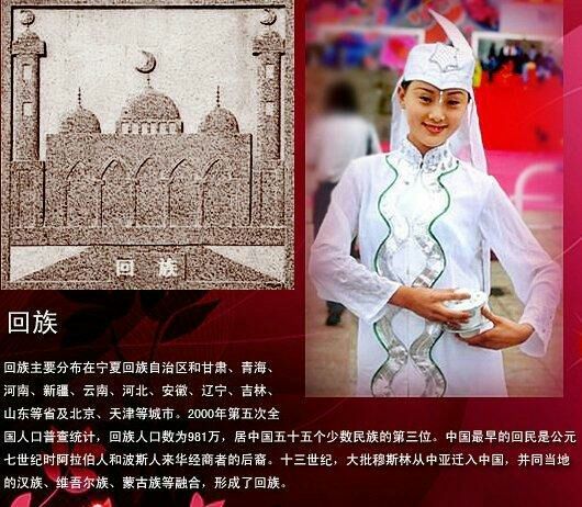 油管看中国56个民族传统服饰,56个民族女性服饰图片大全