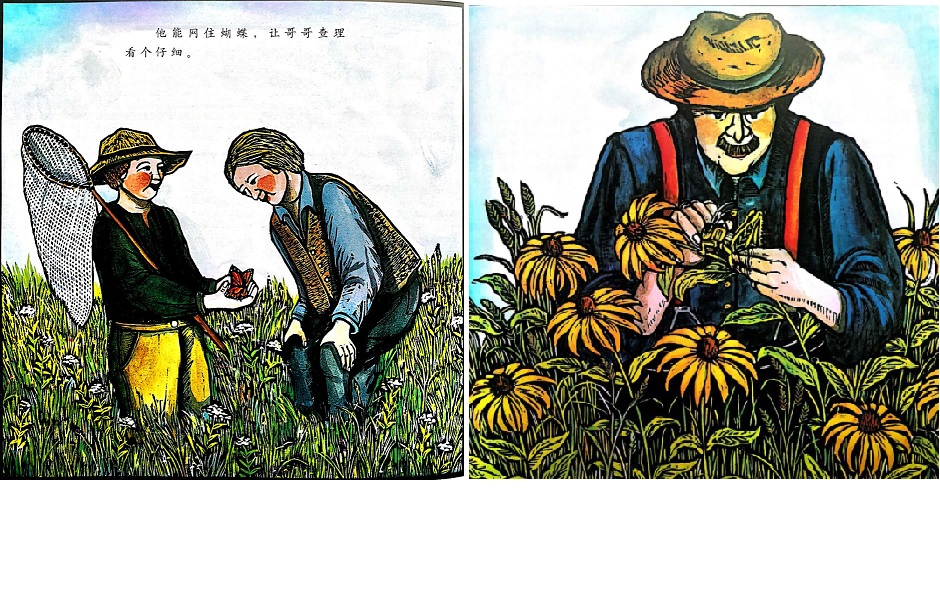 凯迪克金奖绘本,绘本雪花人读后感