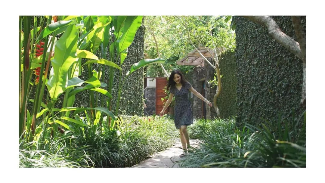 此生必去一次巴厘岛,带你旅游巴厘岛攻略