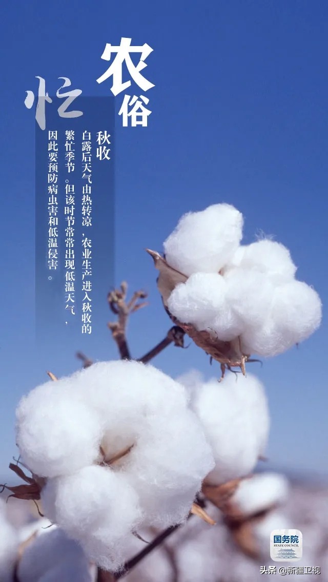 白露|“露凝而白也”，仲秋时节开始了