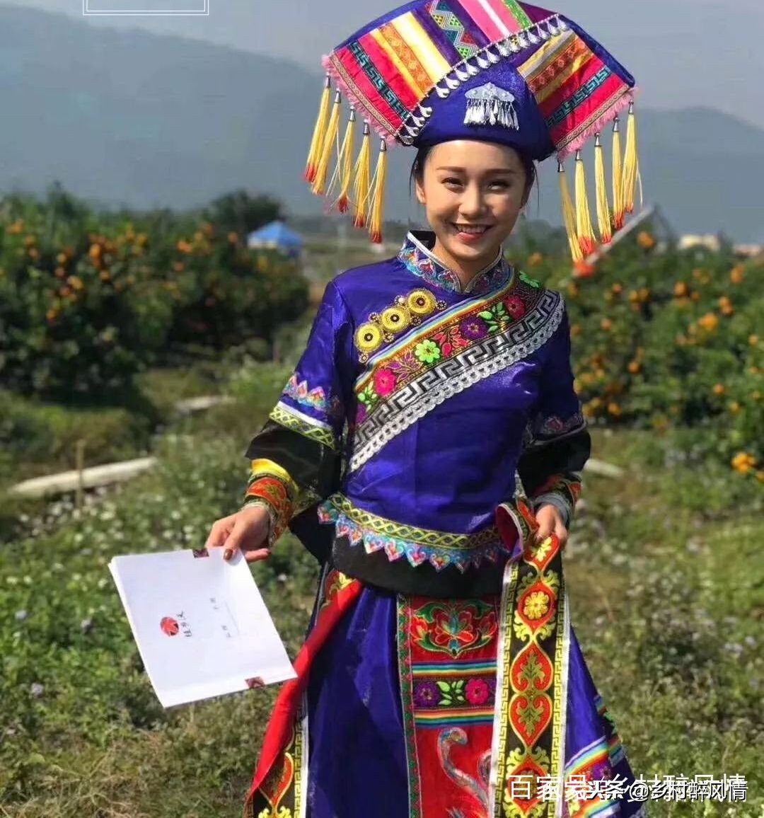 韩国进口柑橘果苗,国内外柑橘产业