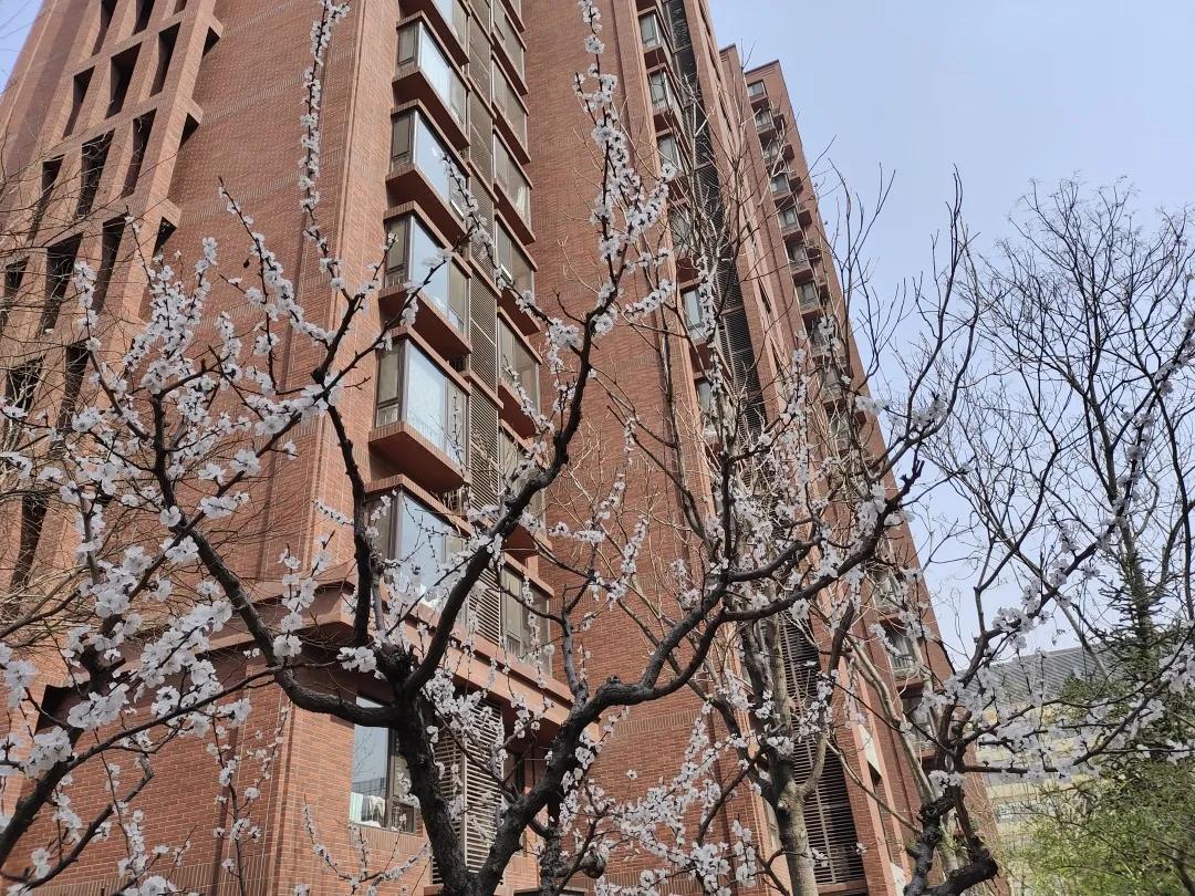 走在春天里简谱,歌曲走在春天里