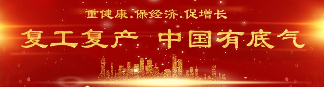 高新西区新建小学,高新新建小学分布图