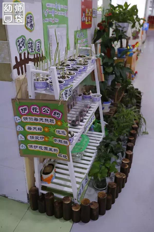 特色幼儿园活动区,高端幼儿园特色活动