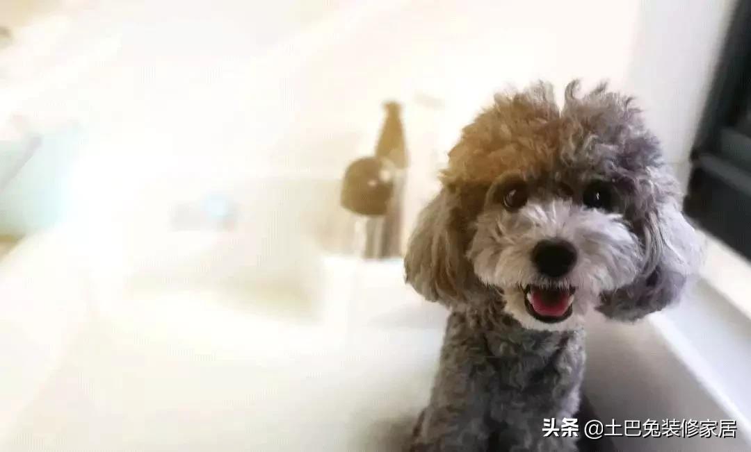 隔出一间卧室的最佳方案,隔出小卧室最佳方案