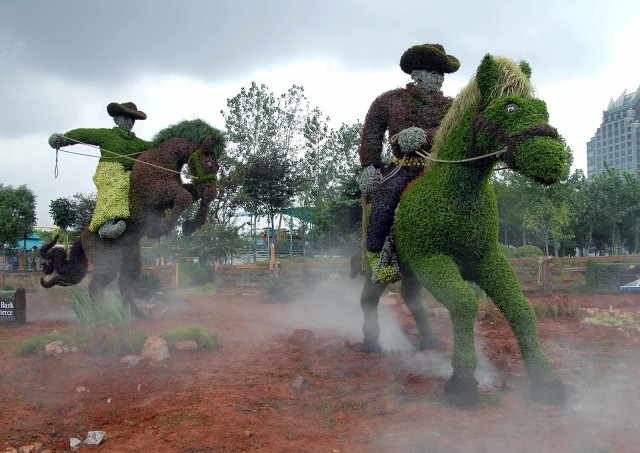 船厂—“辛酸与梦想”
