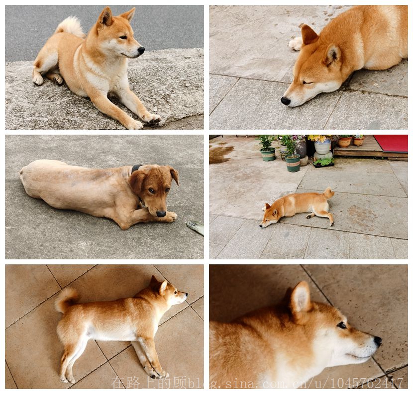 辛丑癸巳建德淳安记