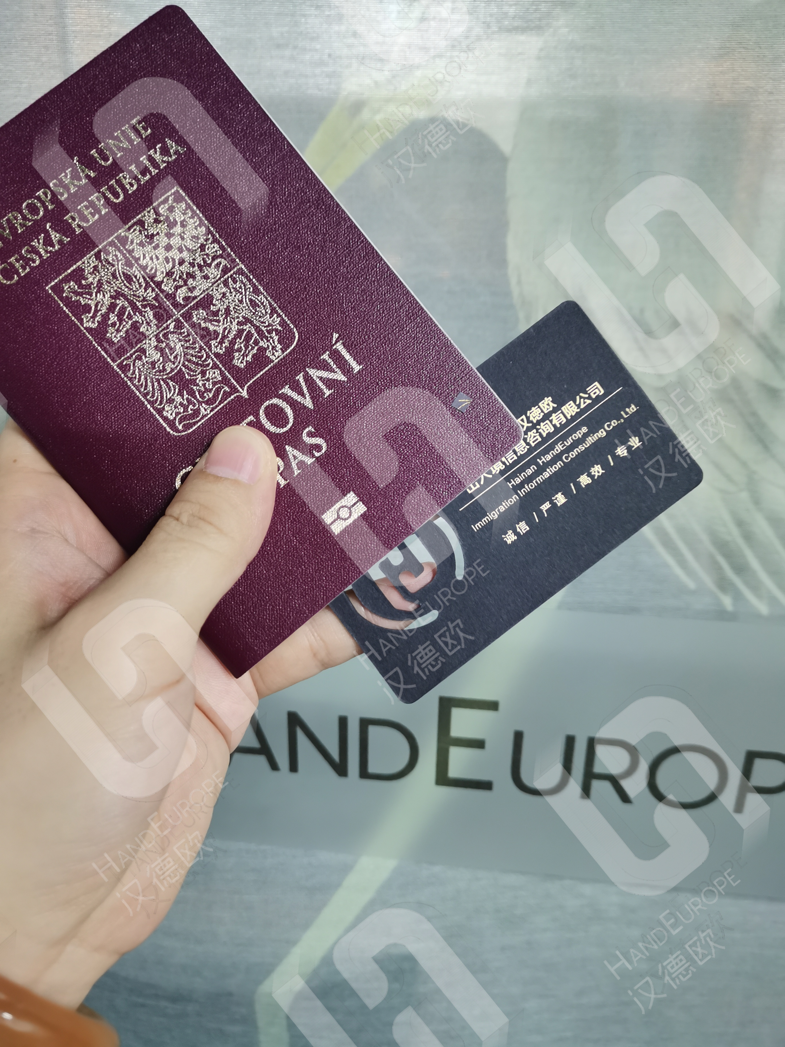 最新父母移民政策,移民后父母不愿意去