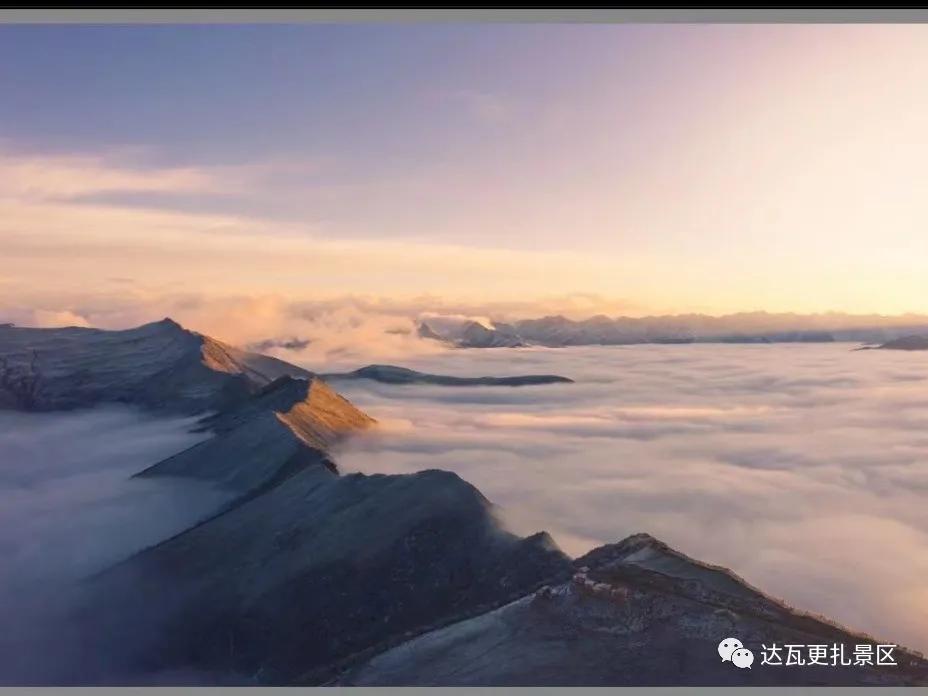 「达瓦更扎、神木垒」桃李花开感谢恩师，老师专属福利速领取