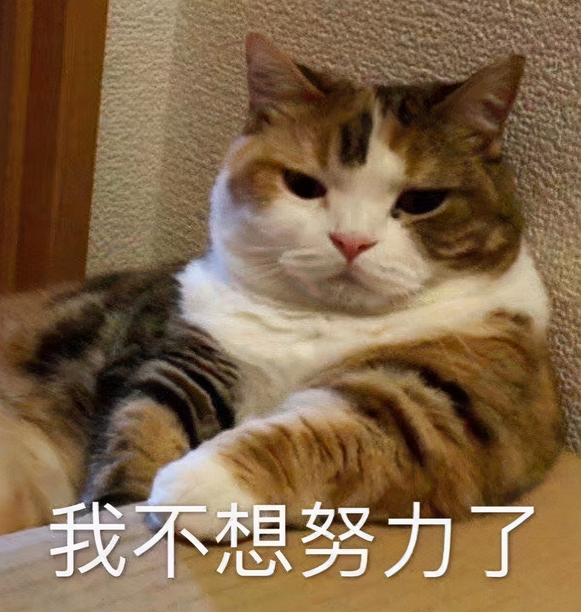 意大利人的一些习惯和习俗,想去意大利留学要注意什么