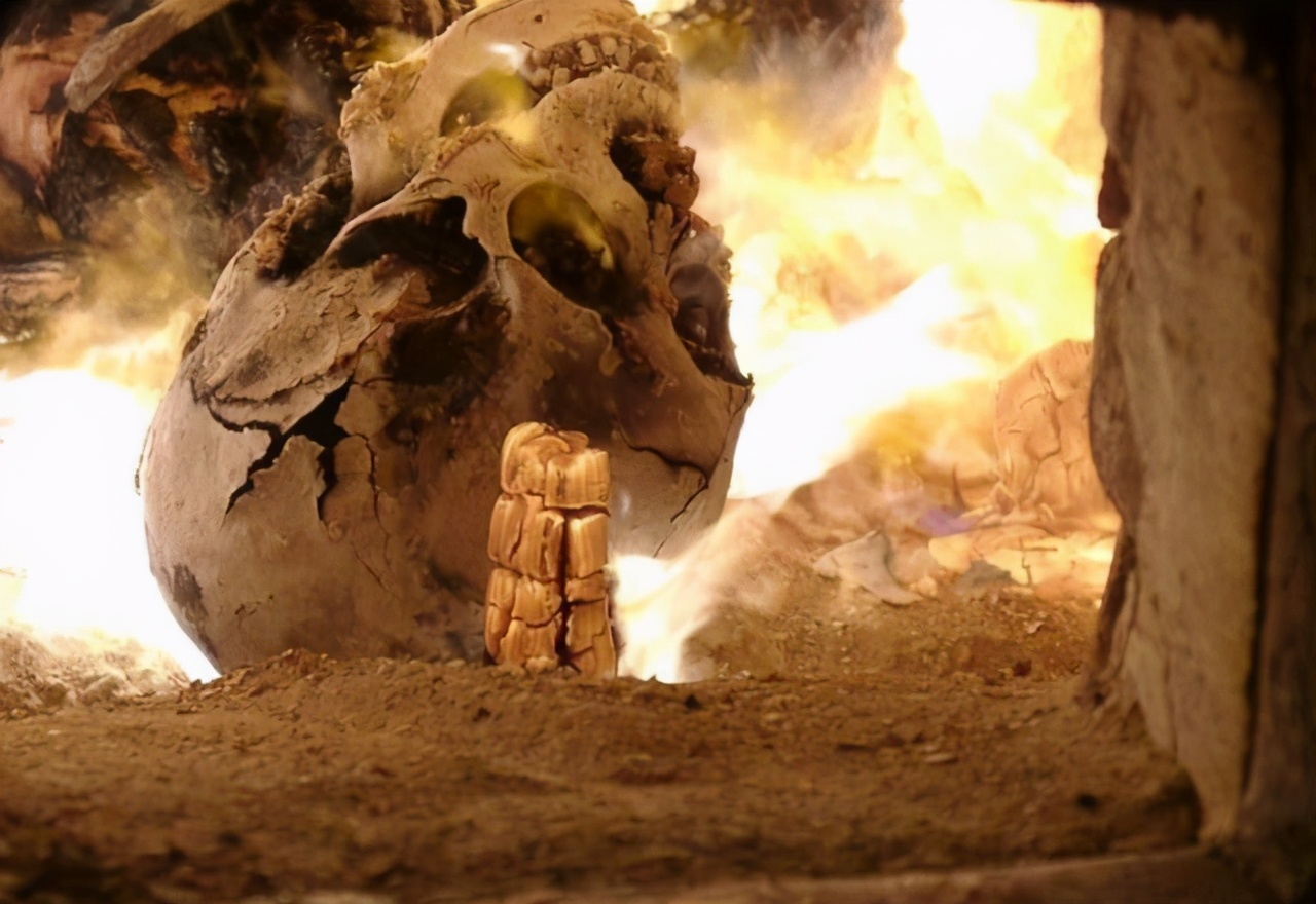 人死火化是浪费资源？动物死了进入生态循环，人类却打破自然规律