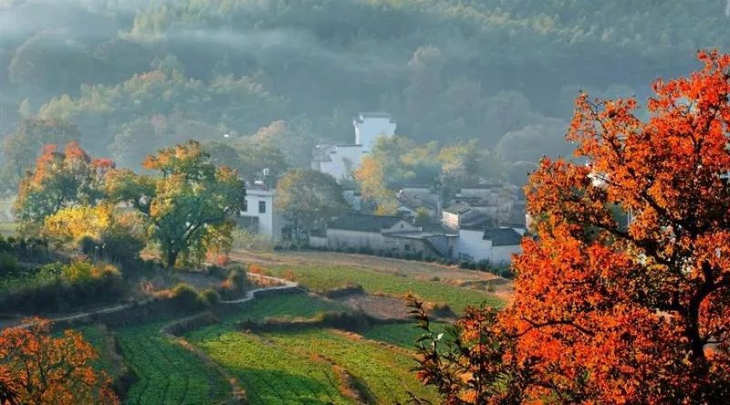 徽州赏秋三日游自驾游攻略,小众徽州赏秋村落