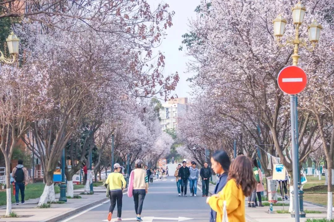 西南民大值得去读吗,西南民大是什么级别