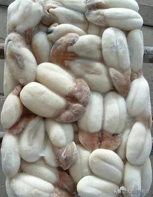 作为潮汕人，这89种海鲜你都能对上号吗