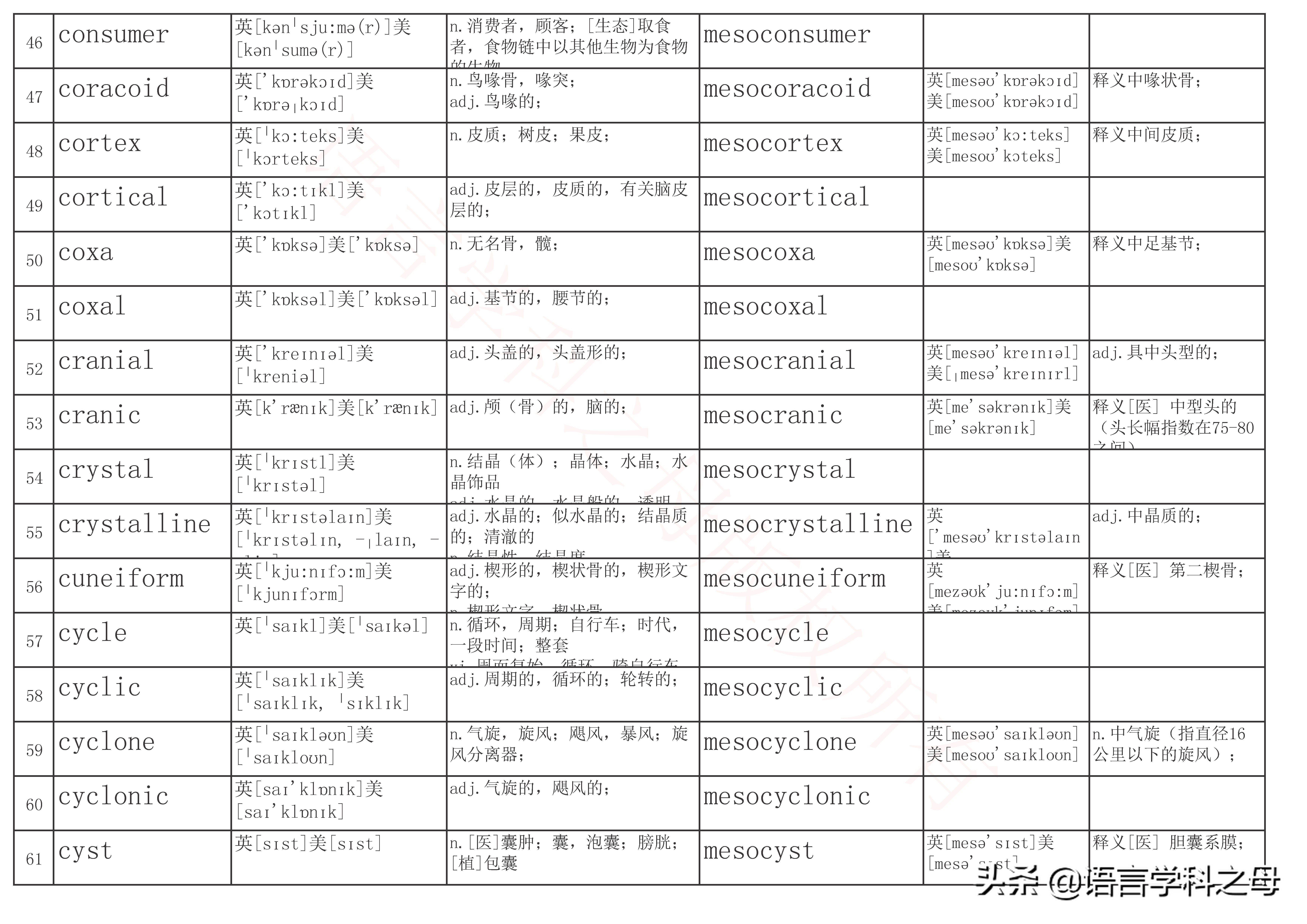 mid作前缀的单词大全,mid前缀的单词