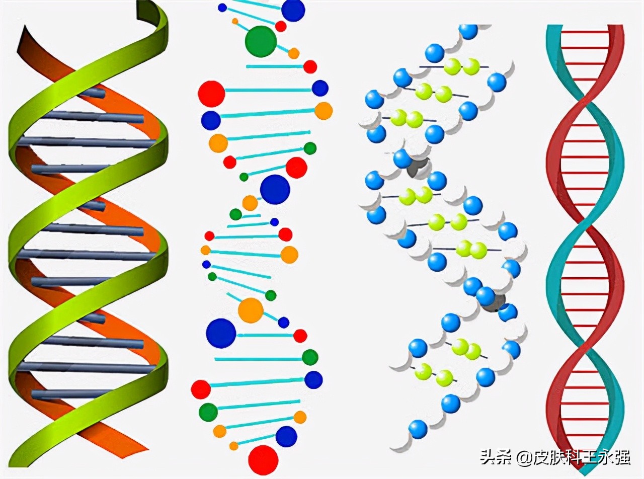 决定一个人寿命长短的重要因素,人的寿命长短9大因素有关