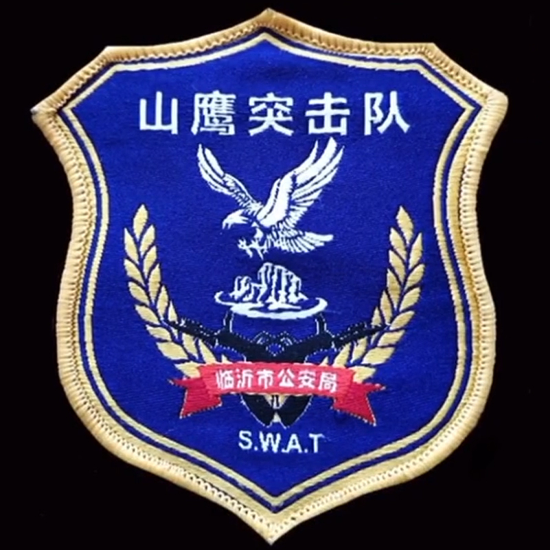 全国各个城市特警队臂章,公安特警帅图