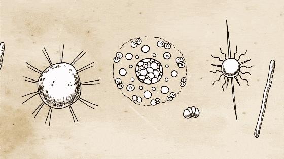 *裤内**湿湿黄黄有异味？很多女生已中招，这次终于有办法了