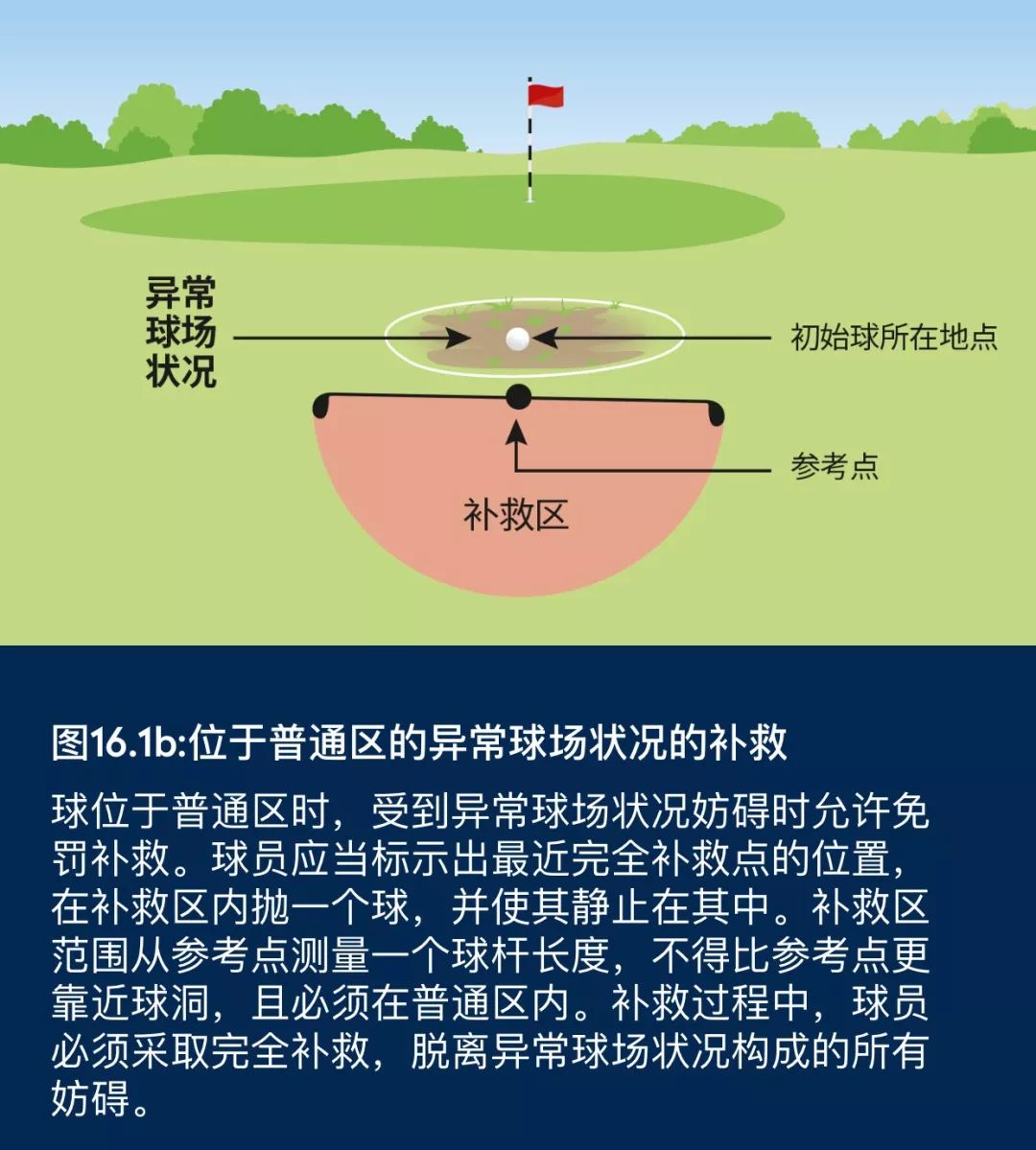 揭秘高尔夫内部,高尔夫最新政策