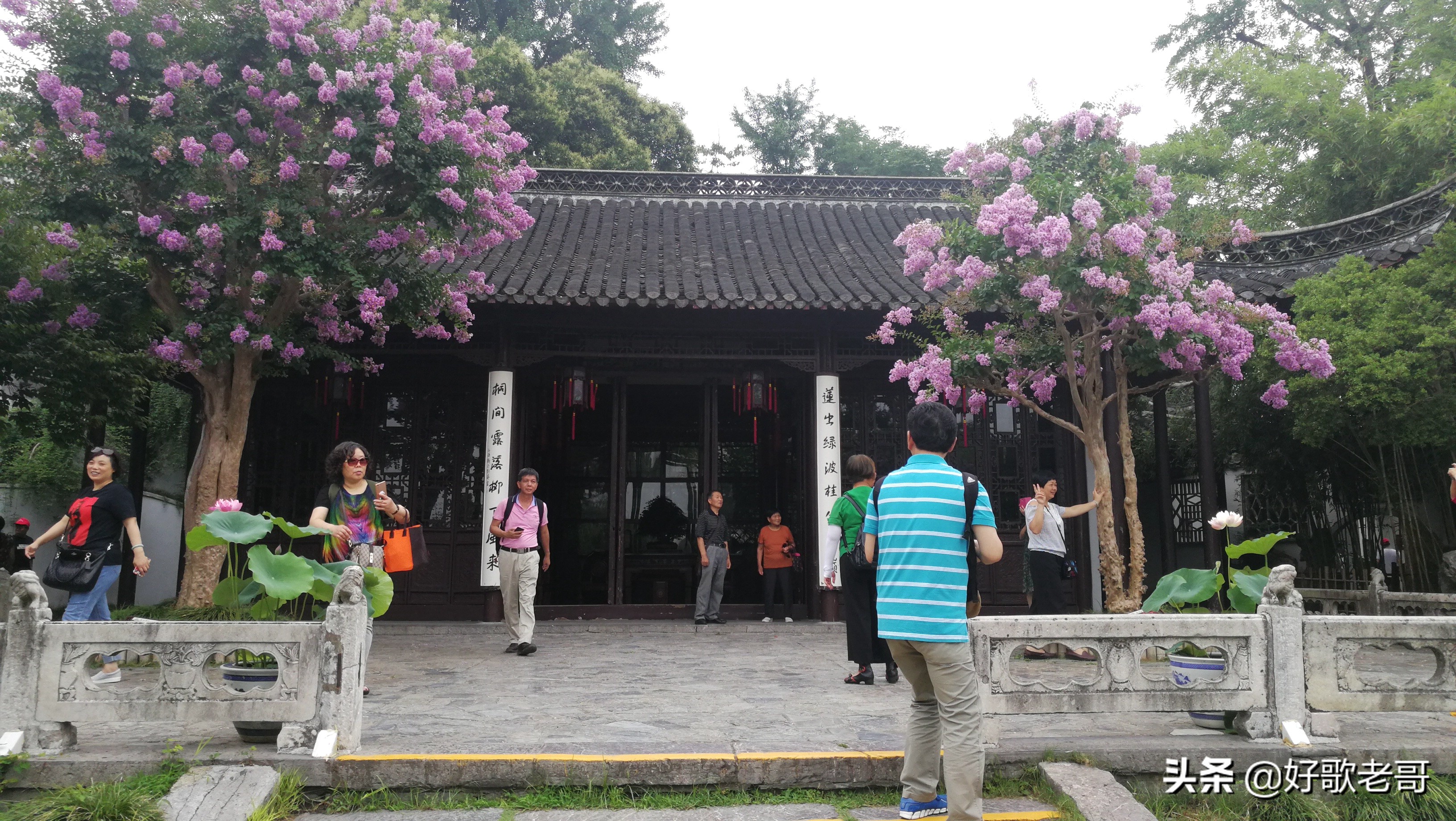 十里湖光,清澄缥碧,花木扶疏,连绵滴翠…瘦西湖游记