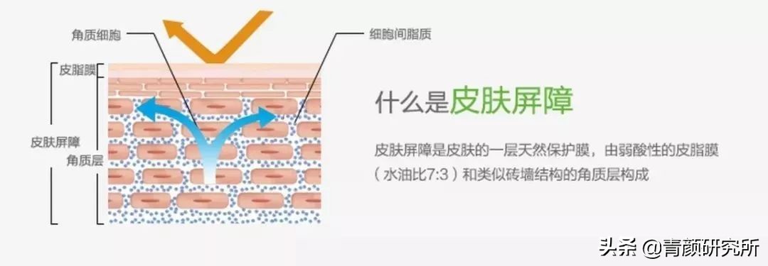 修复角质层薄红血丝敏感肌软膜,修复角质层薄红血丝敏感肌妙招