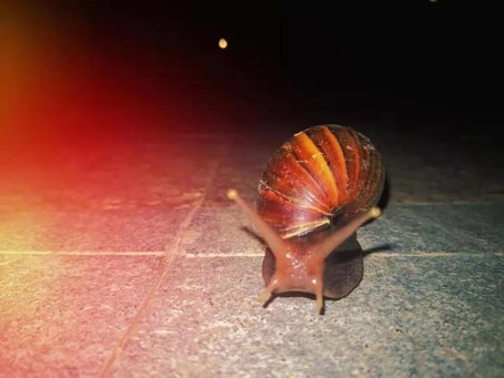 福建结核病,生活中哪些会传播结核病