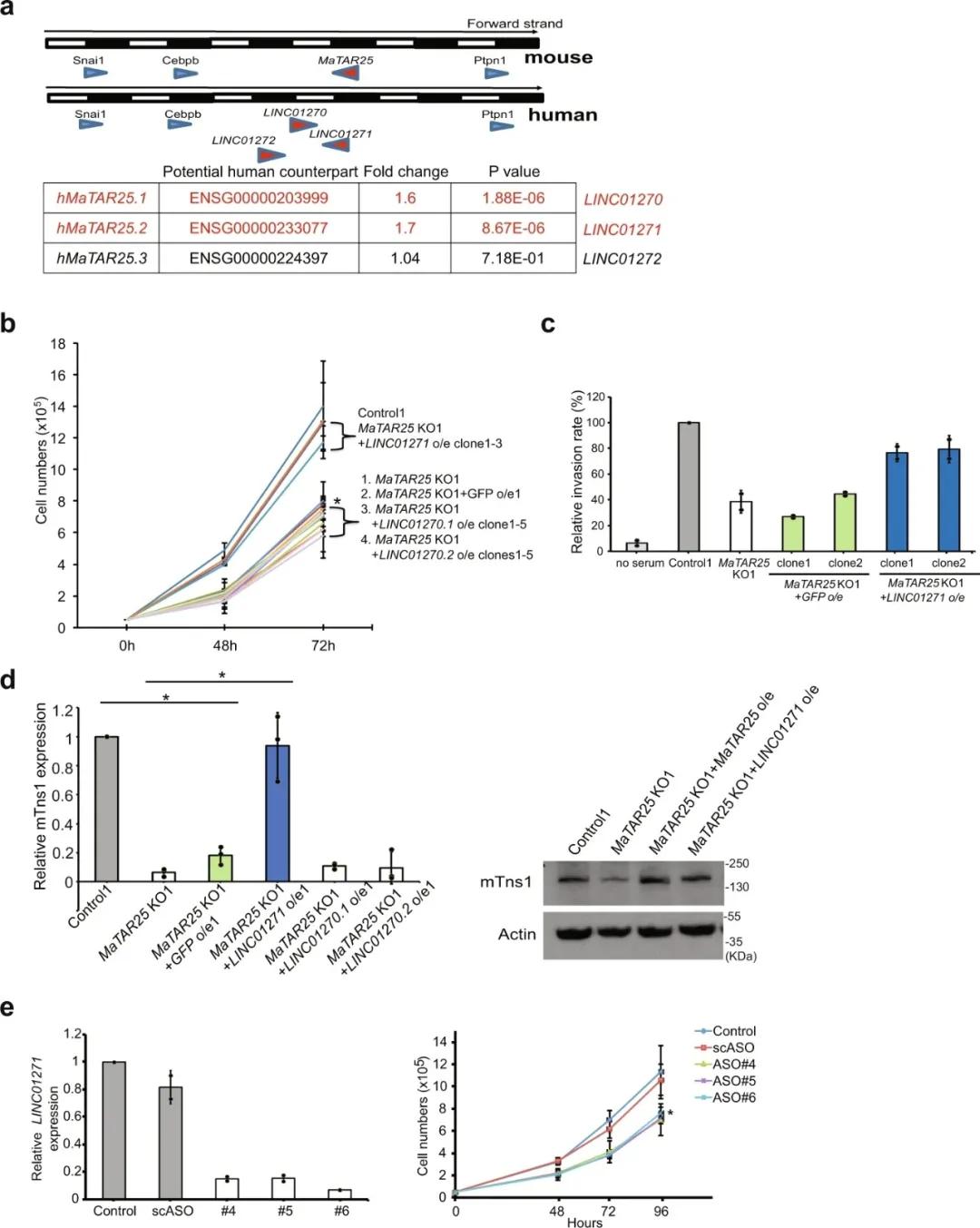 乳腺癌靶点图,乳腺癌抗癌新发现