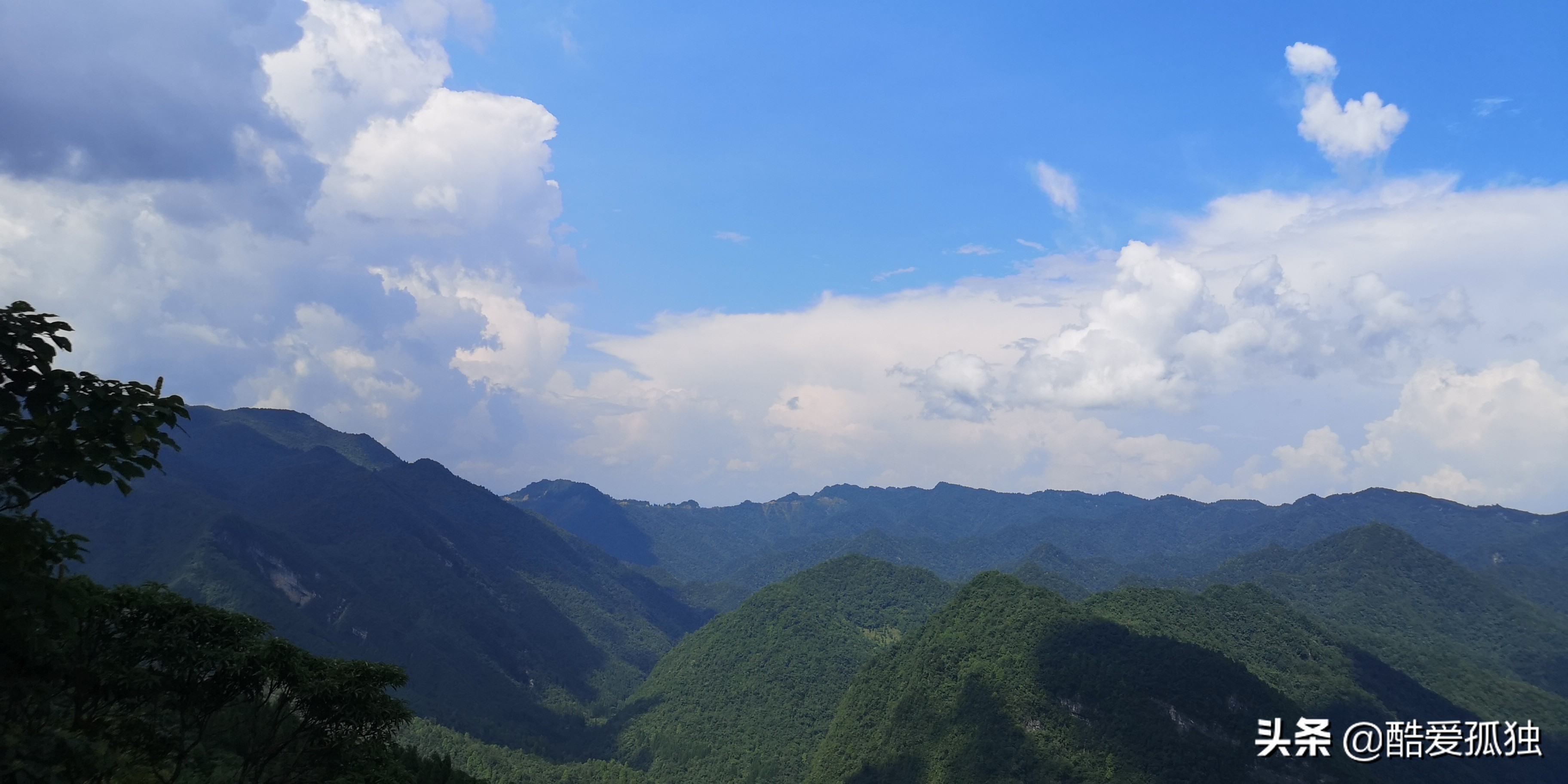 荣放双擎四驱精英plus放一夜没电,2.5荣放双擎plus和探岳四驱智联