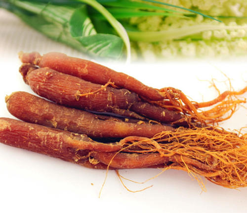 人参、西洋参、*党**参、太子参等这些中药!有何异同?一文说明白