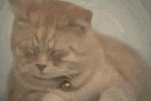 右眼皮跳右耳热吉凶,左右眼皮连续跳24小时吉凶预兆