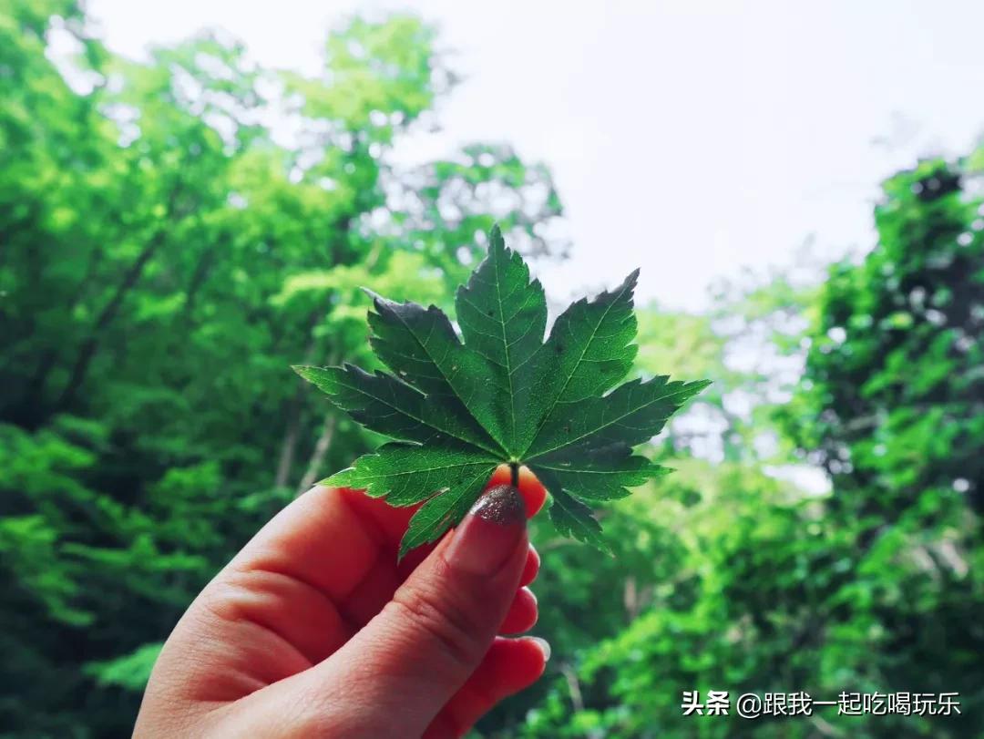 被中外地质学家誉为“地质摇篮”“地学殿堂”原来就在辽宁